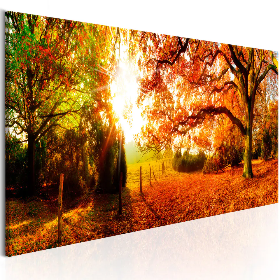 ⁨Painting - Magic of autumn (size 150x50)⁩ at Wasserman.eu