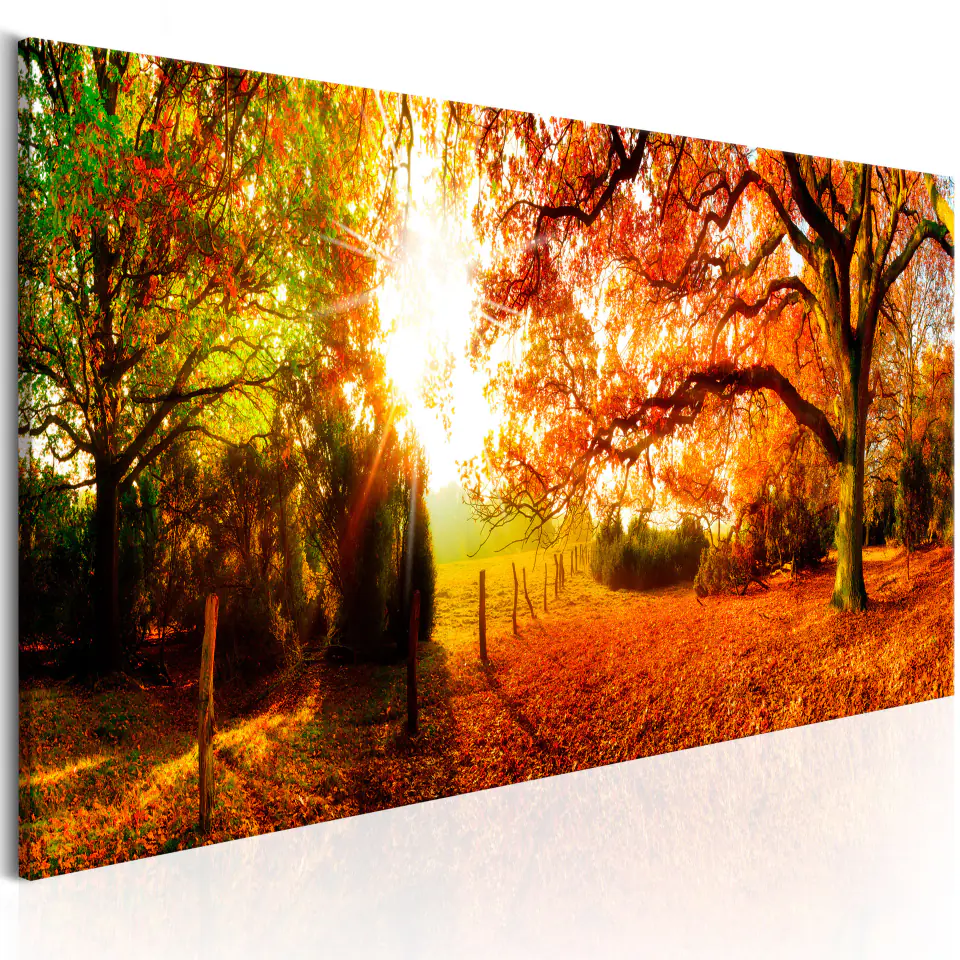 ⁨Obraz - Magia jesieni (rozmiar 150x50, wykończenie Standard)⁩ w sklepie Wasserman.eu