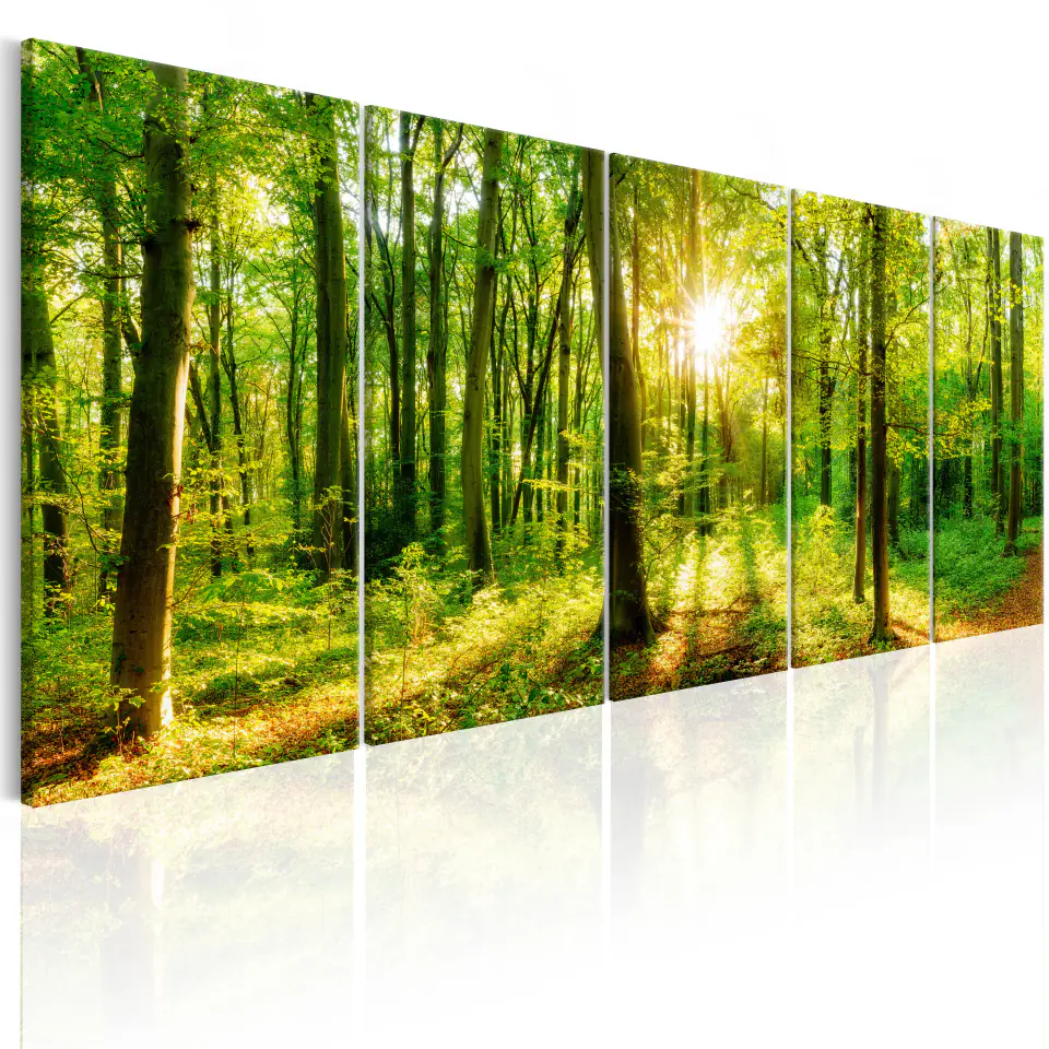 ⁨Picture - Magic Forest (size 200x80)⁩ at Wasserman.eu