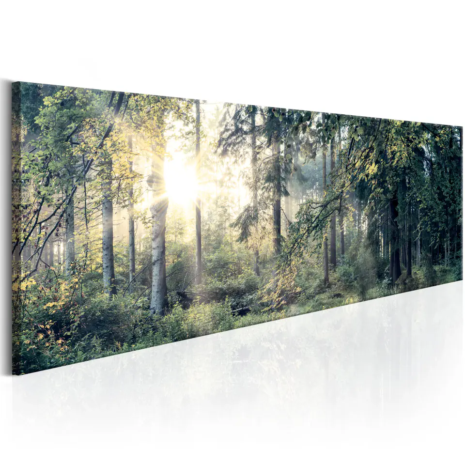 ⁨Picture - Morning magic (size 150x50)⁩ at Wasserman.eu