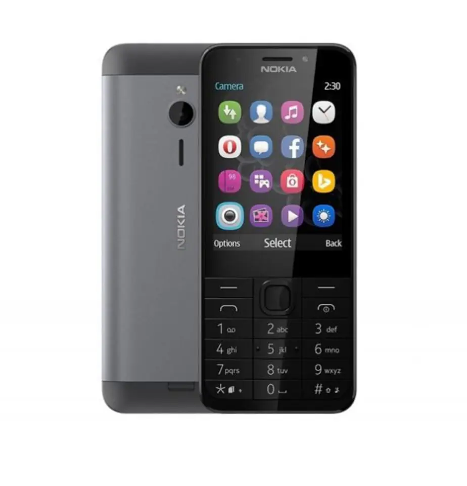 Mobile phone 230 DS Silver at Wasserman.eu