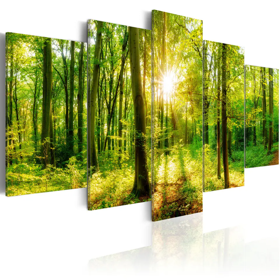 ⁨Picture - A Story of the Forest (size 100x50)⁩ at Wasserman.eu