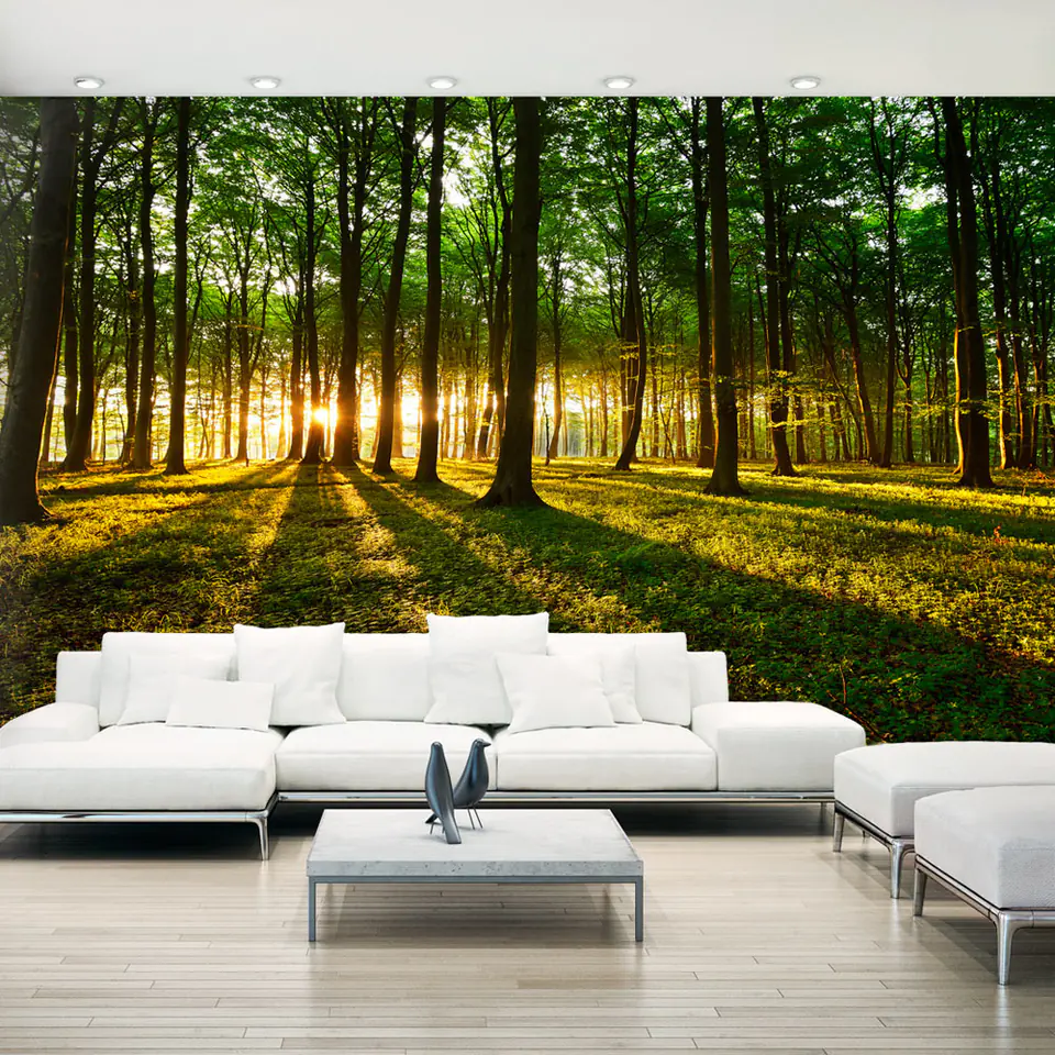 ⁨Wall mural XXL - Mystical Morning II (size 500x280)⁩ at Wasserman.eu