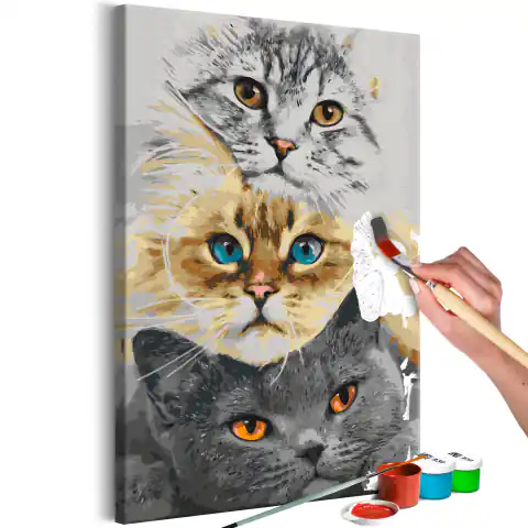 ⁨Obraz do samodzielnego malowania - Kocie trio (rozmiar 40x60, wykończenie )⁩ w sklepie Wasserman.eu