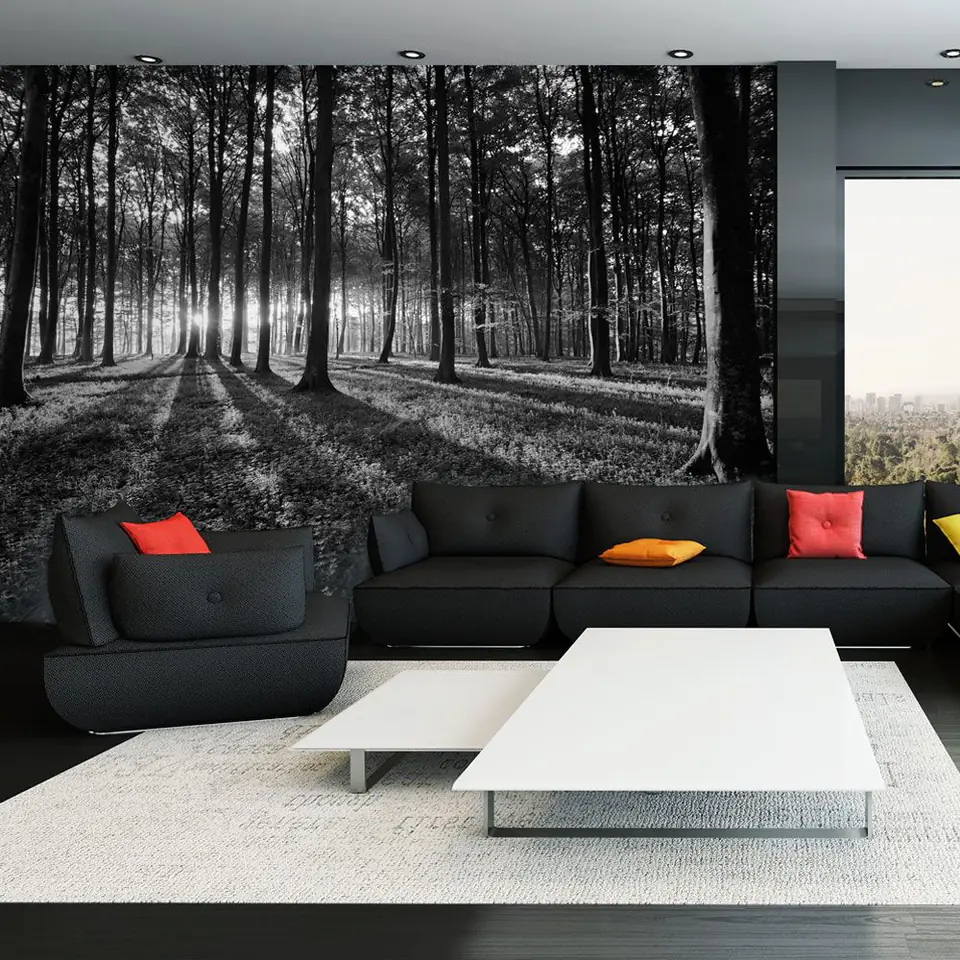 ⁨Wall mural - The Light in the Forest (size 350x245)⁩ at Wasserman.eu