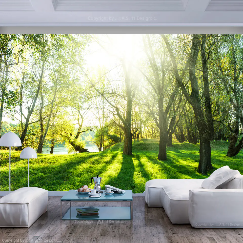 ⁨Wall mural - Sunny picnic (size 100x70)⁩ at Wasserman.eu