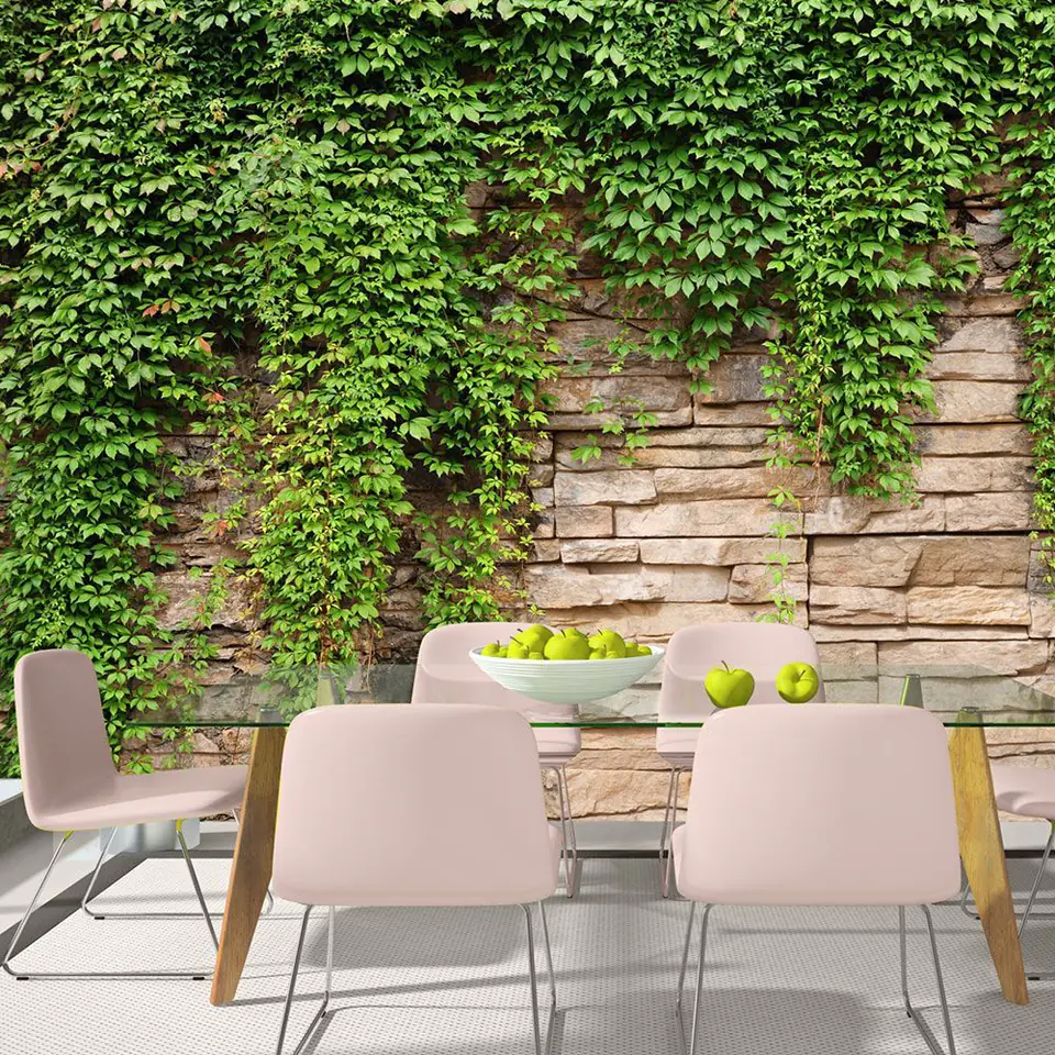 ⁨Wall mural - Ivy wall (size 100x70)⁩ at Wasserman.eu