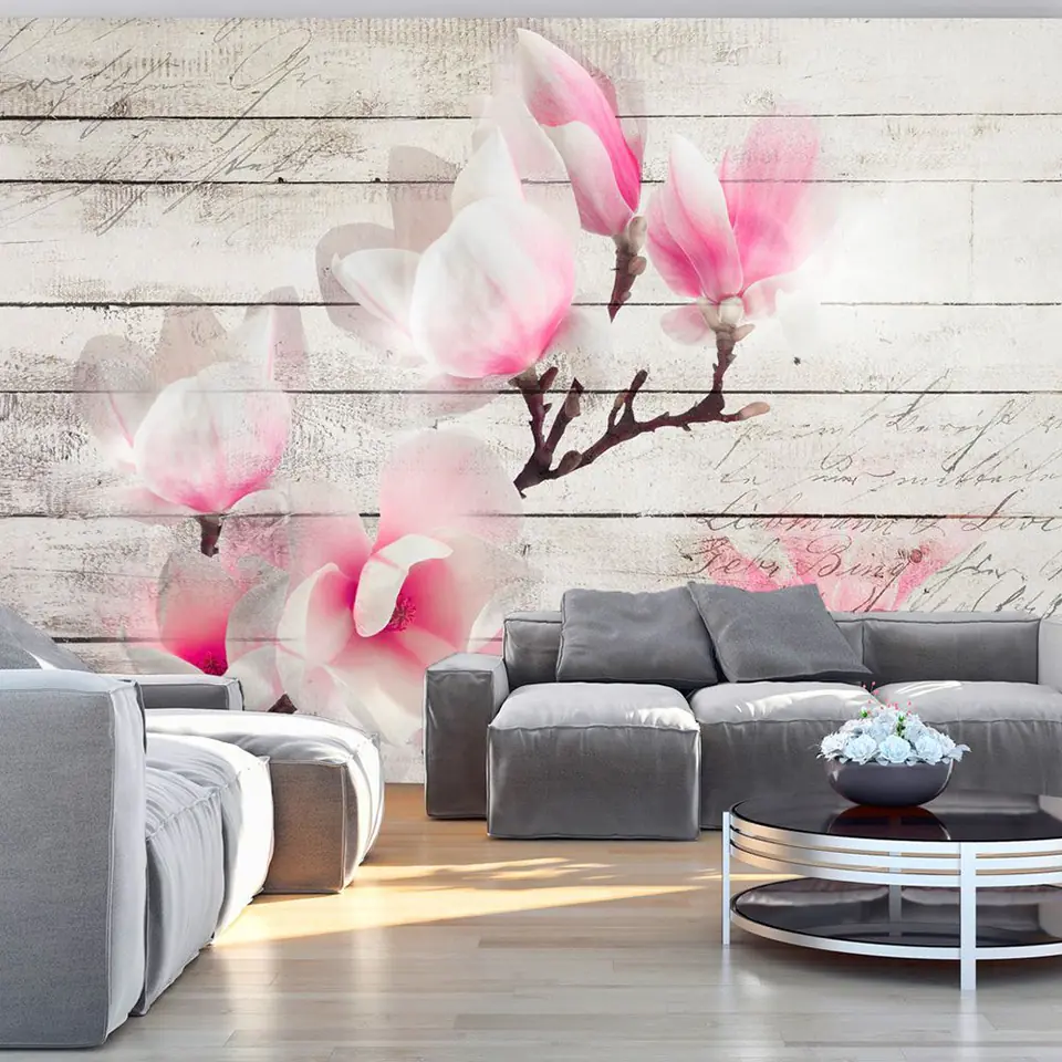 ⁨Fototapeta - Delikatność Magnolii (rozmiar 147x105, wykończenie Samoprzylepna)⁩ w sklepie Wasserman.eu