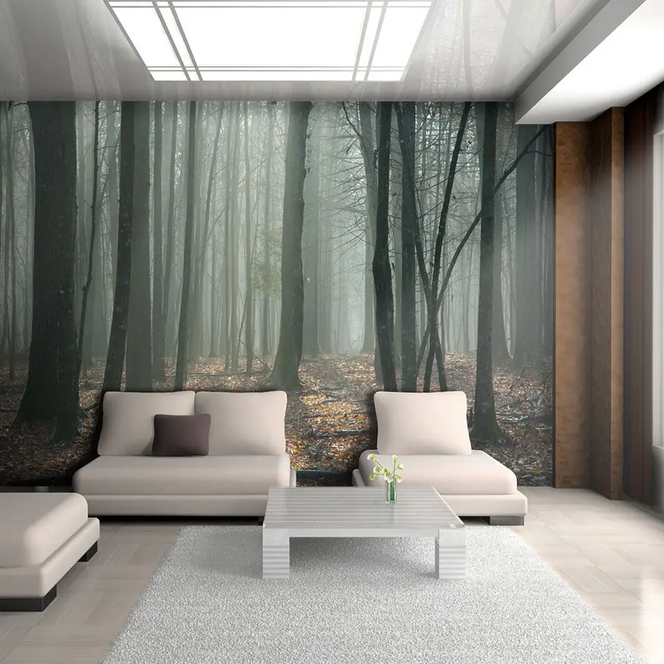 ⁨Wall mural - Witches' forest (size 300x231)⁩ at Wasserman.eu