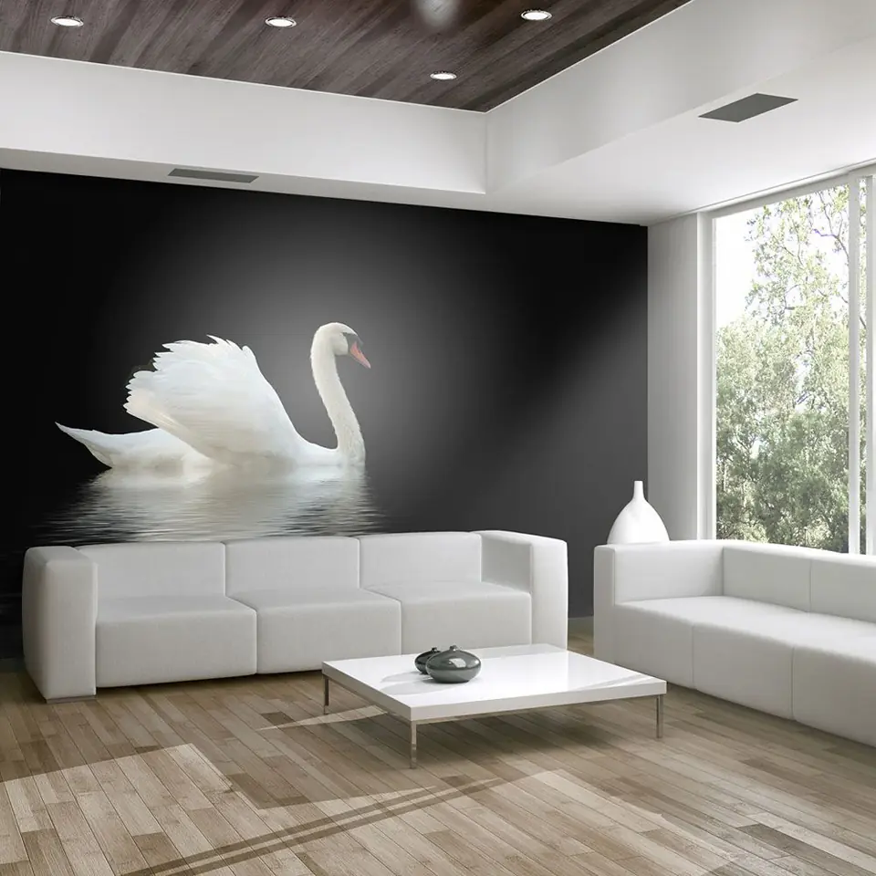 ⁨Wall mural - swan (black and white) (size 200x154)⁩ at Wasserman.eu