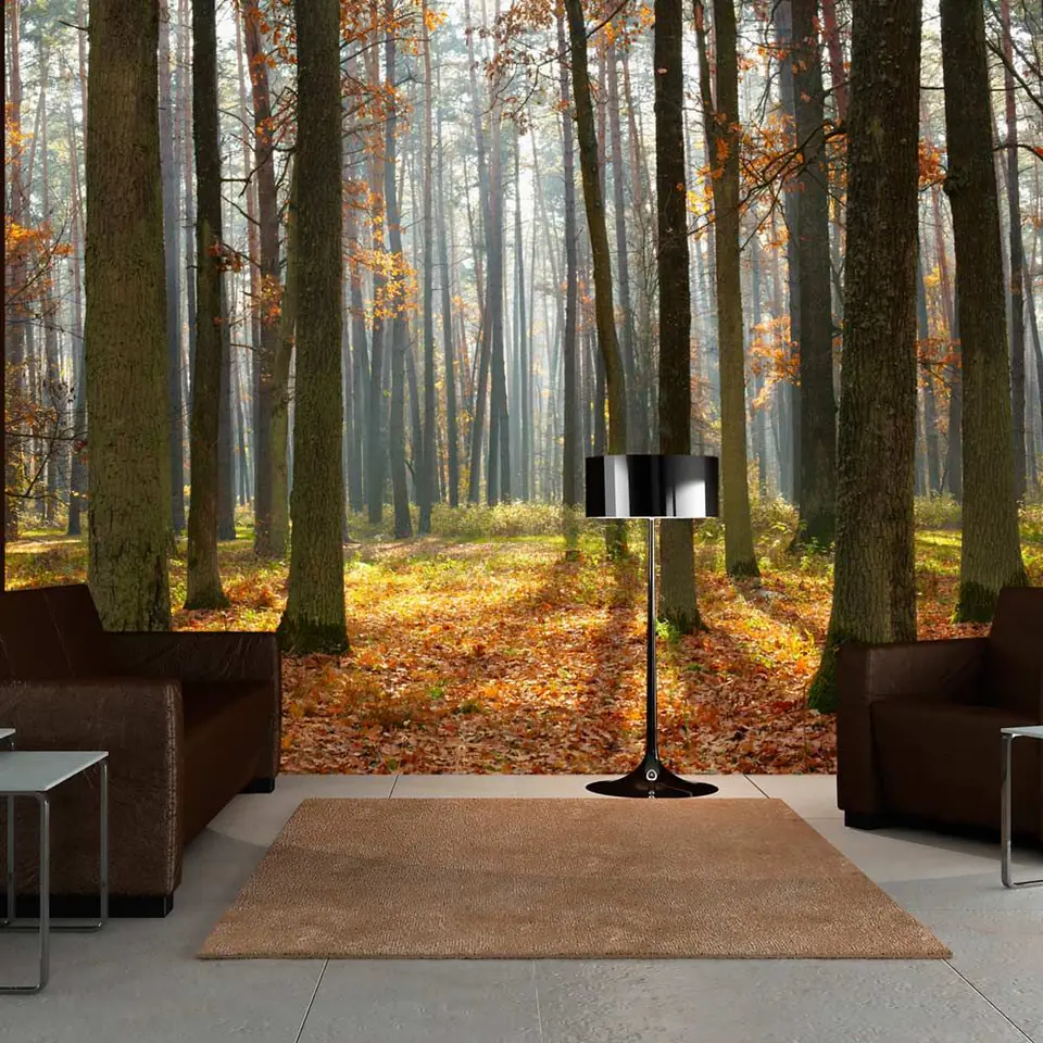 ⁨Wall mural - Autumn trees (size 200x154)⁩ at Wasserman.eu