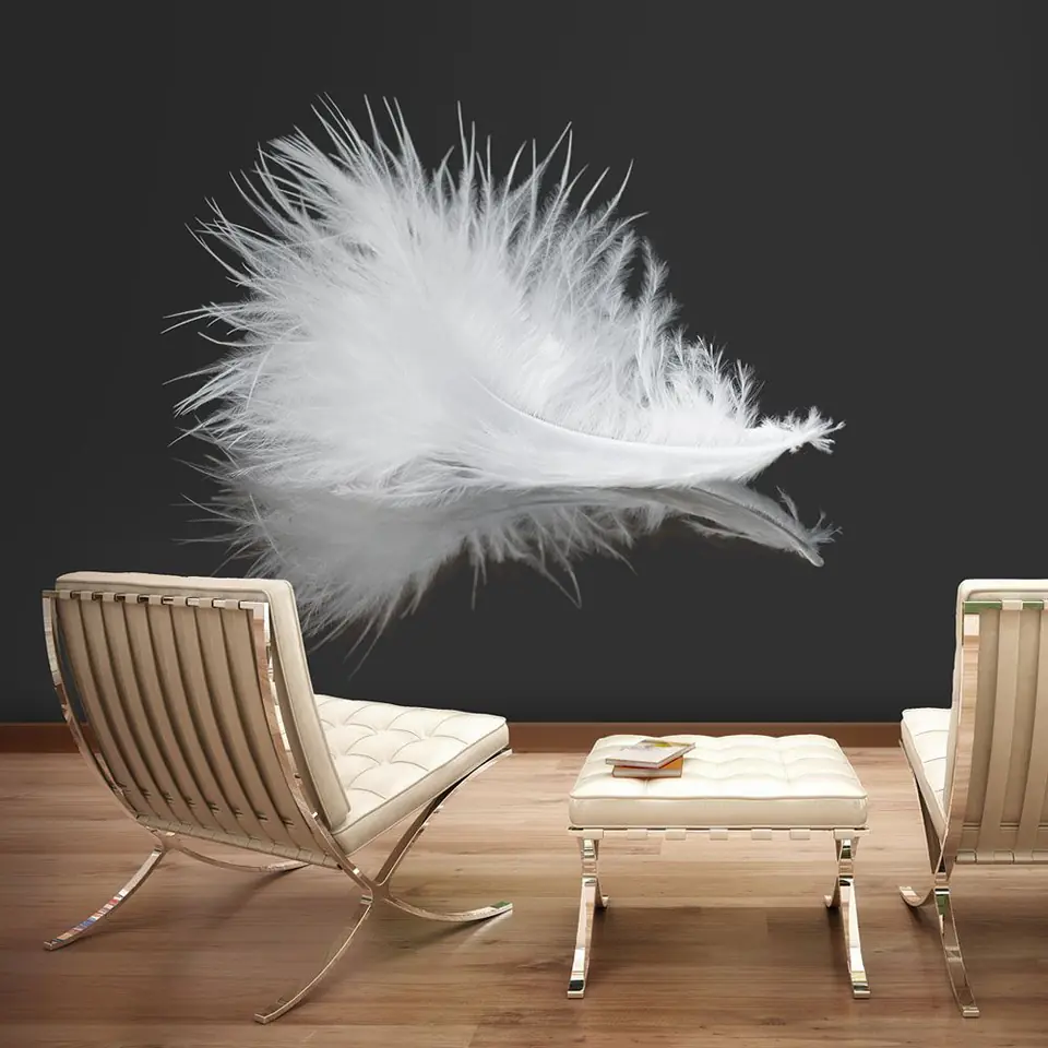 ⁨Wall mural - White feather (size 200x154)⁩ at Wasserman.eu