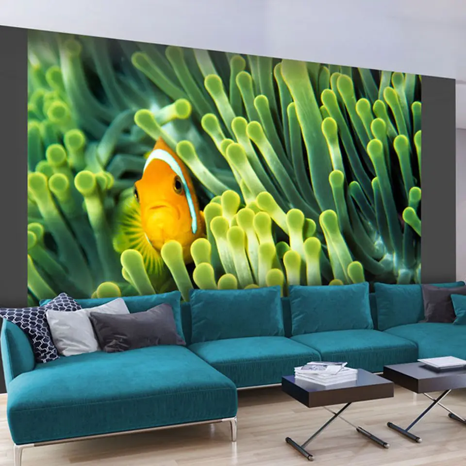 ⁨Fototapeta - Anemonefish (rozmiar 300x231, wykończenie Standard)⁩ w sklepie Wasserman.eu