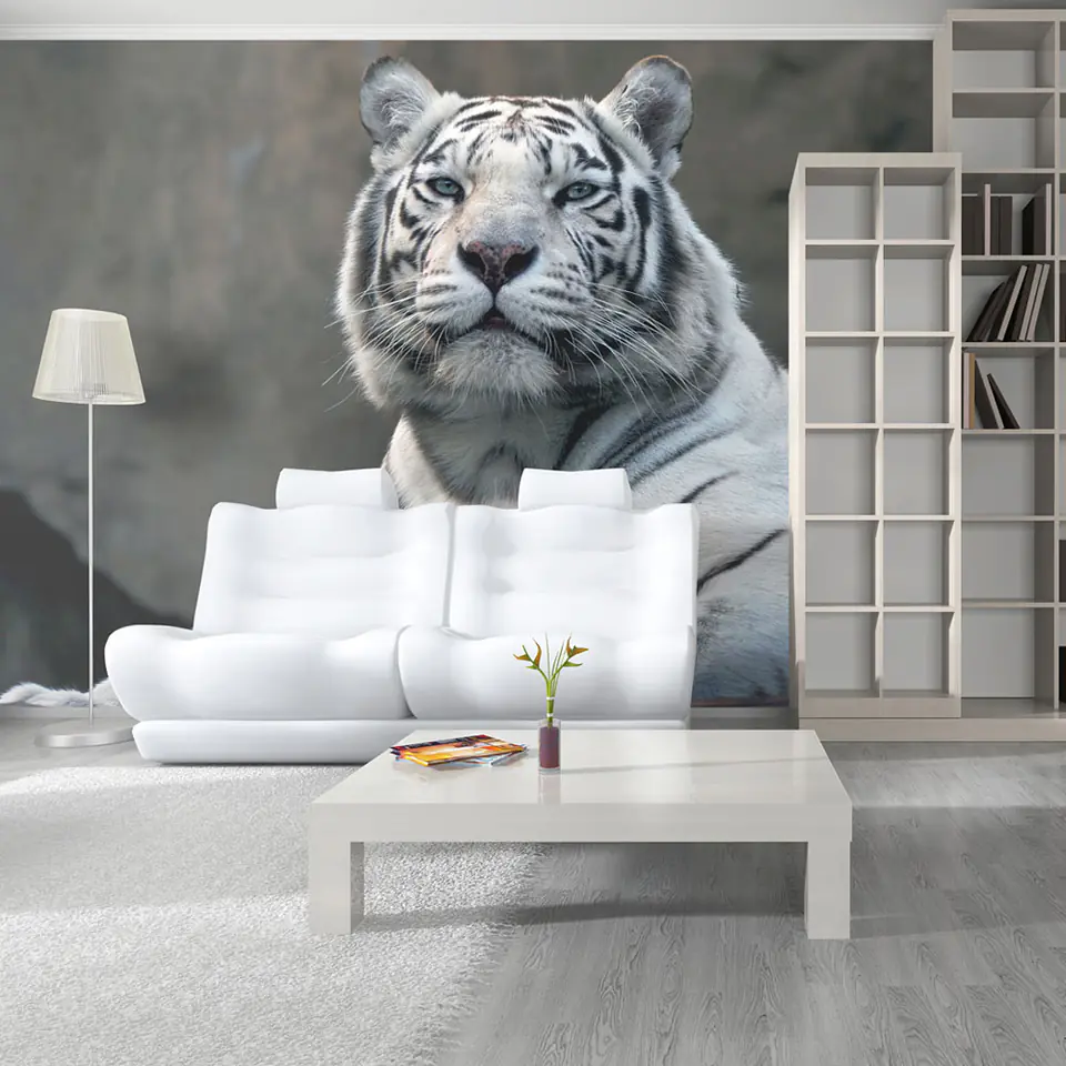 ⁨Wall mural - Bengal tiger in the zoo (size 300x231)⁩ at Wasserman.eu