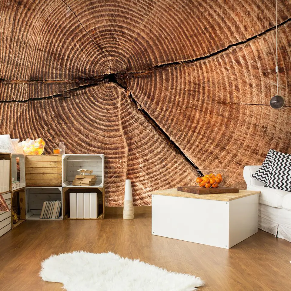 ⁨Wall mural - Cross-section of the tree trunk (size 200x154)⁩ at Wasserman.eu