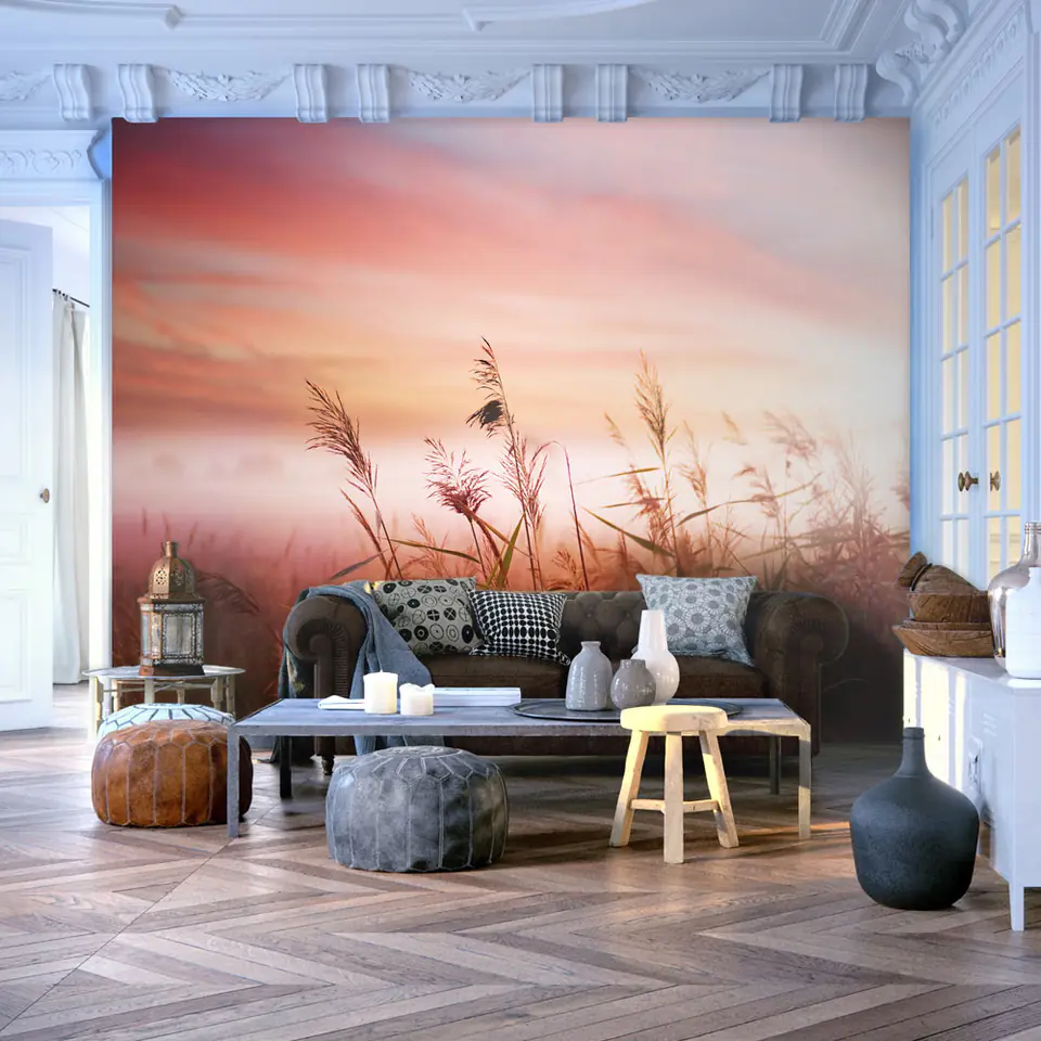 ⁨Wall mural - Meadow at dawn (size 250x193)⁩ at Wasserman.eu