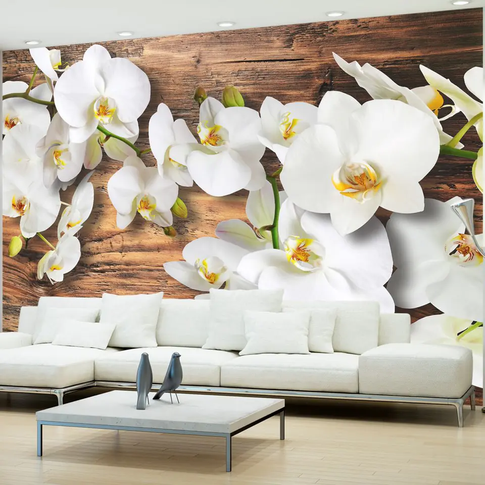 ⁨Wall mural - Forest orchid (size 350x245)⁩ at Wasserman.eu