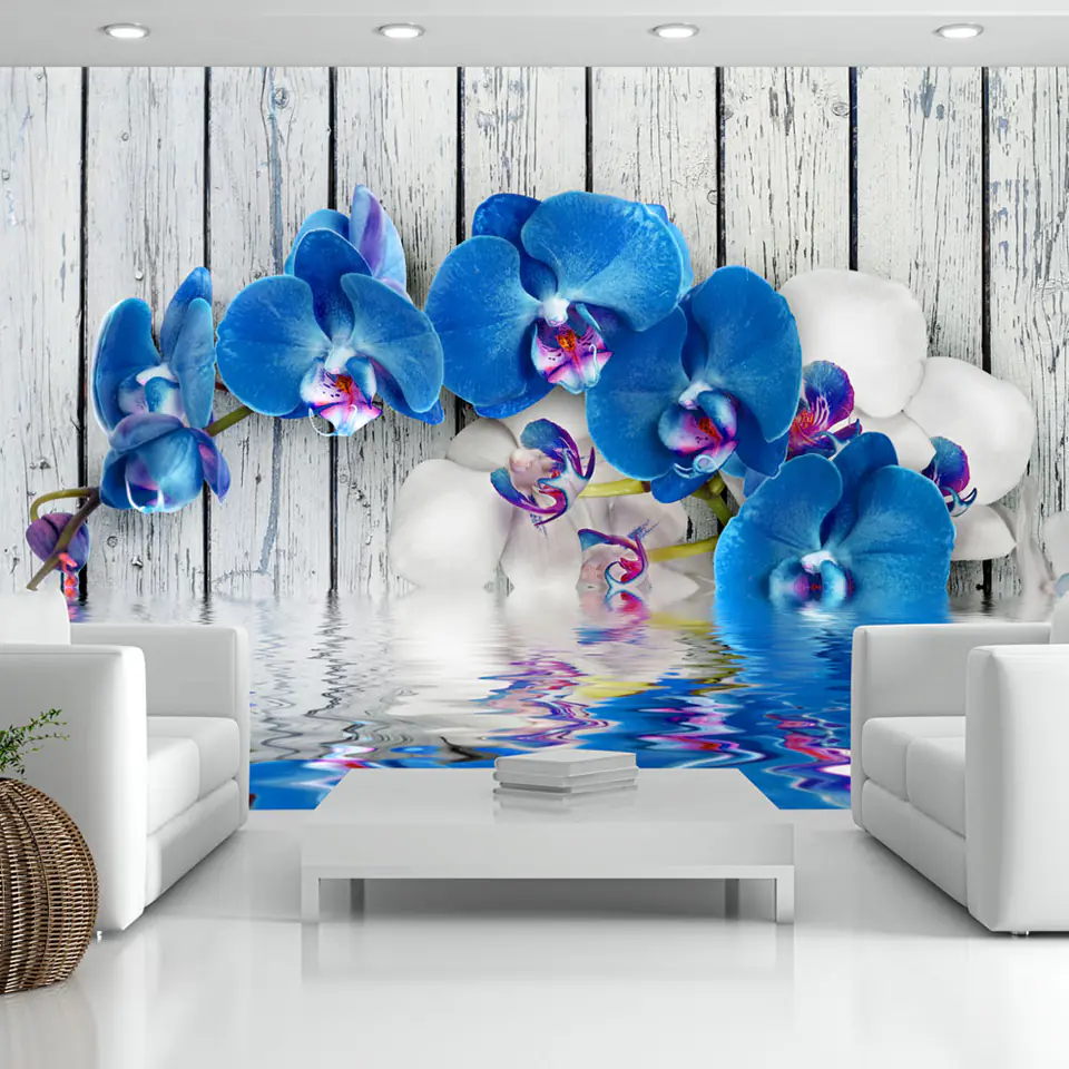 ⁨Fototapeta - Kobaltowa orchidea (rozmiar 300x210, wykończenie Standard)⁩ w sklepie Wasserman.eu