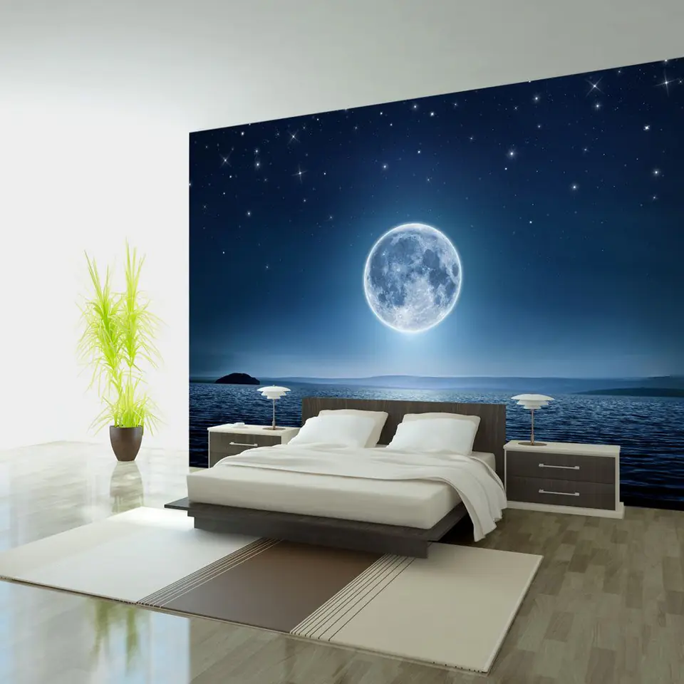 ⁨Wall mural - Lunar night (size 350x245)⁩ at Wasserman.eu