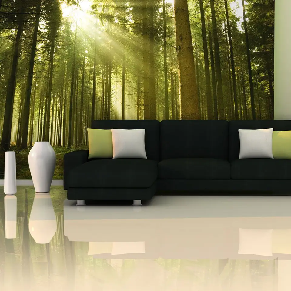 ⁨Fototapeta - Las sosnowy (rozmiar 441x270, wykończenie Samoprzylepna)⁩ w sklepie Wasserman.eu