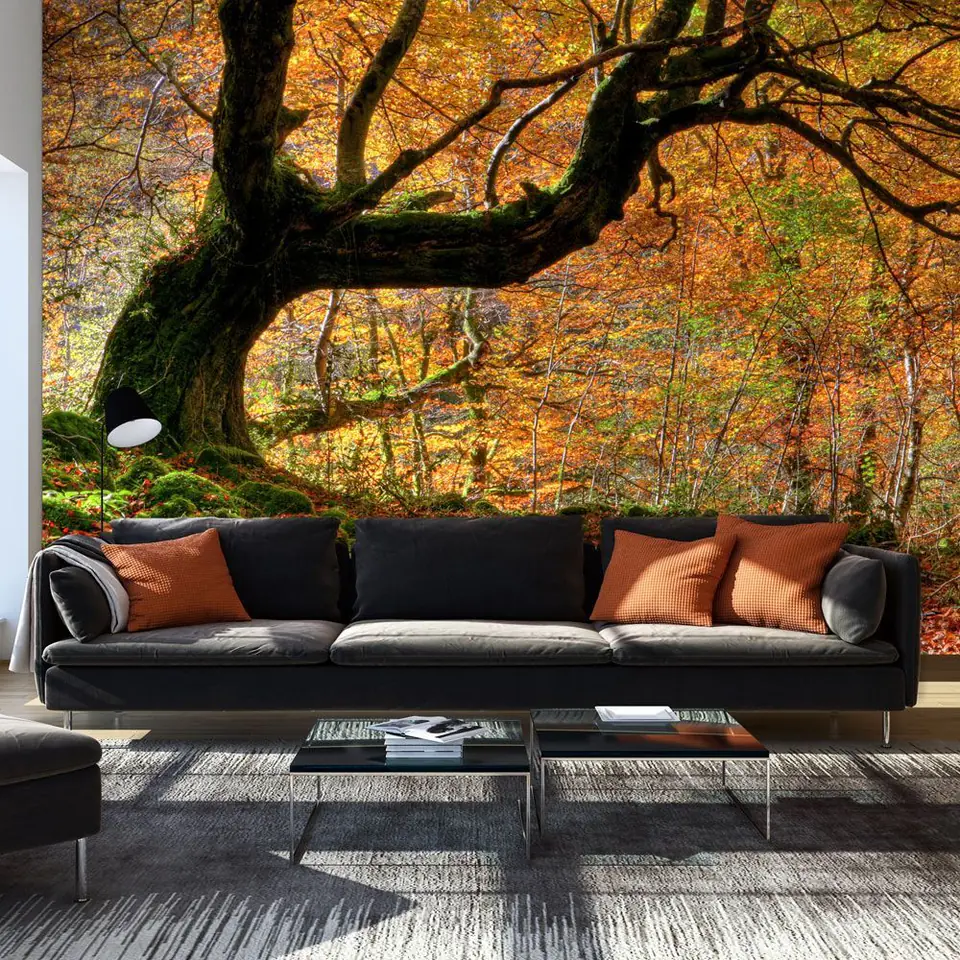 ⁨Wall mural - Autumn, forest and leaves (size 450x270)⁩ at Wasserman.eu