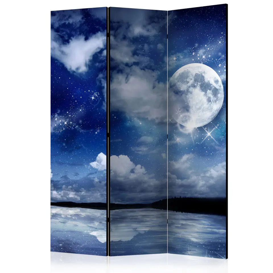 ⁨Screen 3-piece - Magic Night [Room Dividers] (size 135x172)⁩ at Wasserman.eu