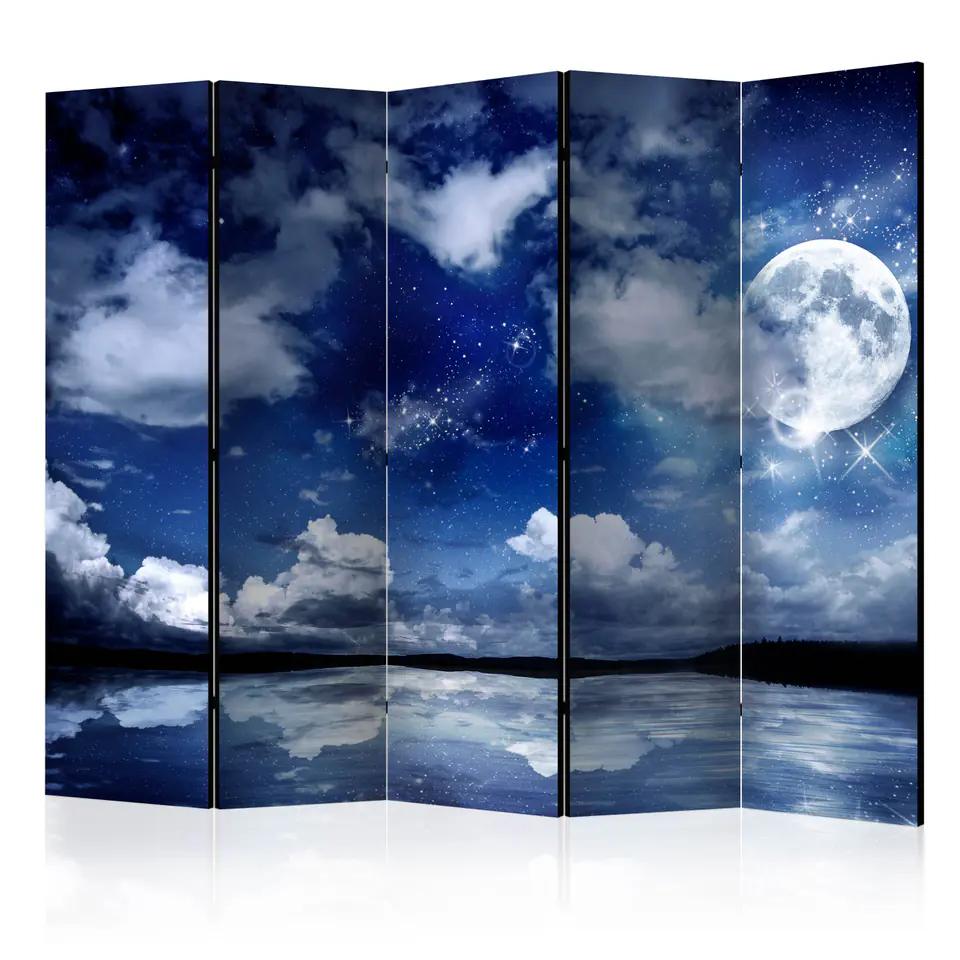 ⁨5-piece screen - Magic Night II [Room Dividers] (size 225x172)⁩ at Wasserman.eu