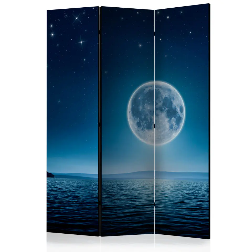 ⁨Screen 3-piece - Lunar Night [Room Dividers] (size 135x172)⁩ at Wasserman.eu