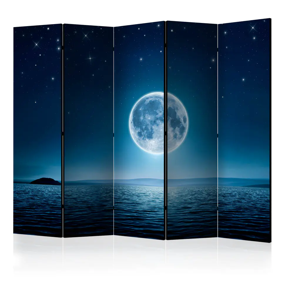 ⁨5-piece screen - Lunar Night II [Room Dividers] (size 225x172)⁩ at Wasserman.eu