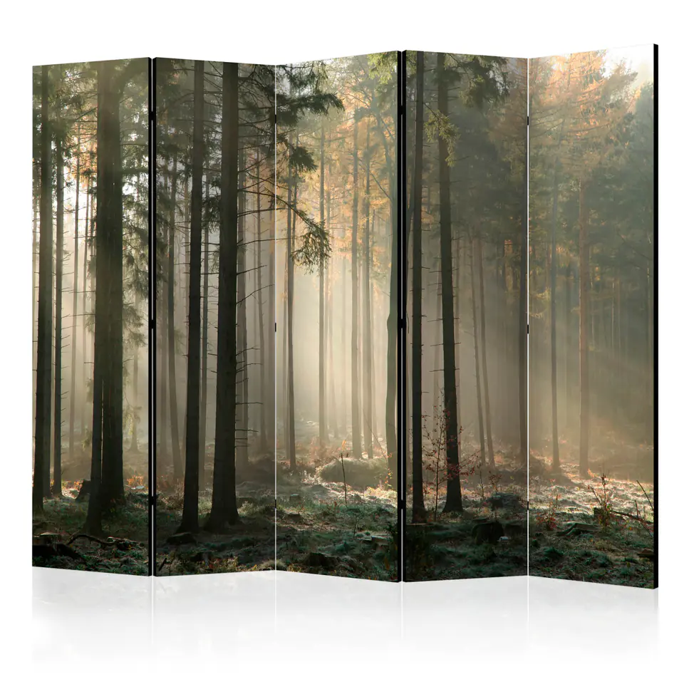 ⁨Parawan - Foggy November morning II [Room Dividers] (rozmiar 225x172, wykończenie Akustyczny)⁩ w sklepie Wasserman.eu