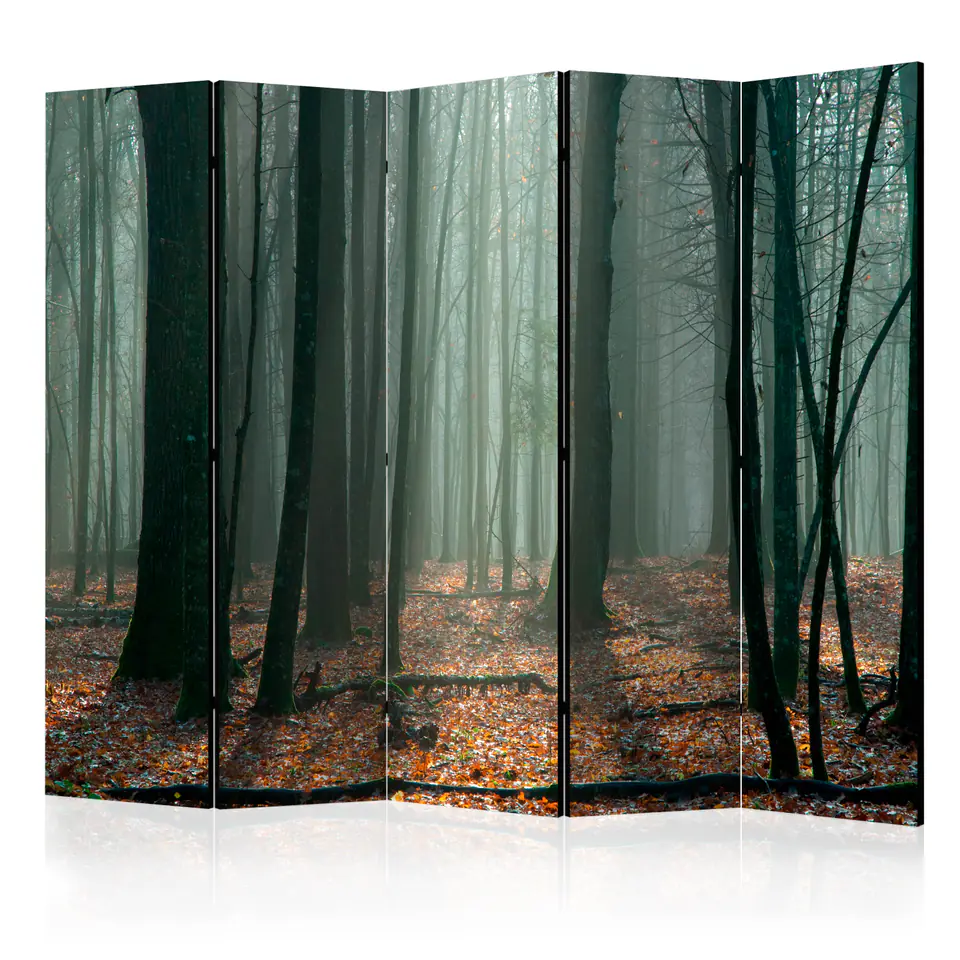 ⁨5-piece screen - Witches' forest II [Room Dividers] (size 225x172)⁩ at Wasserman.eu