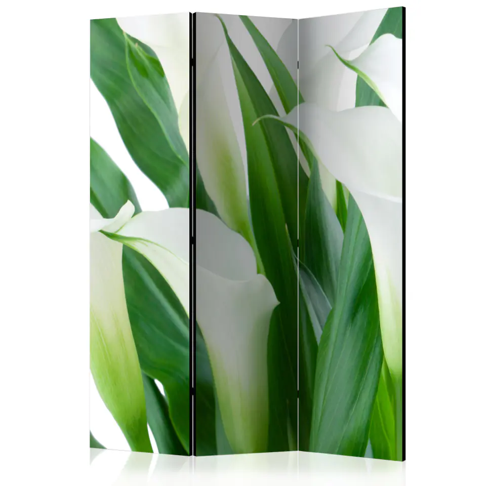 ⁨3-piece screen - bouquet - callas [Room Dividers] (size 135x172)⁩ at Wasserman.eu