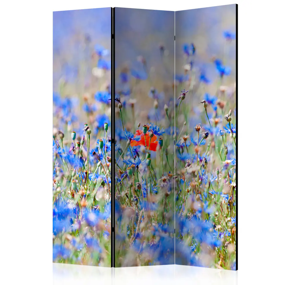 ⁨3-piece screen - Meadow in the color of the sky - cornflowers [Room Dividers] (size 135x172)⁩ at Wasserman.eu