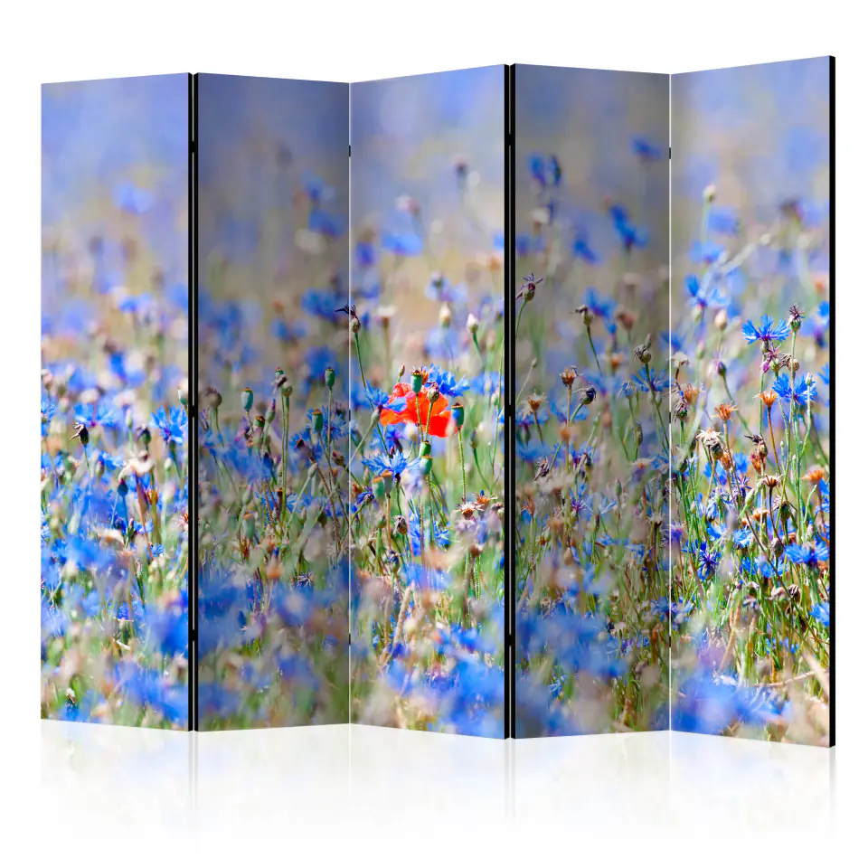 ⁨5-piece screen - Meadow in the color of the sky - cornflowers II [Room Dividers] (size 225x172)⁩ at Wasserman.eu