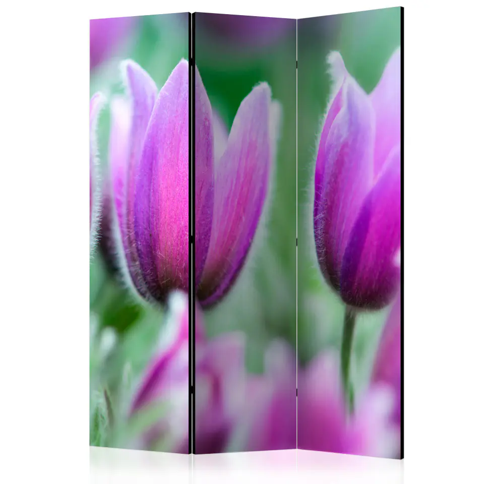 ⁨3-piece screen - Purple spring tulips [Room Dividers] (size 135x172)⁩ at Wasserman.eu