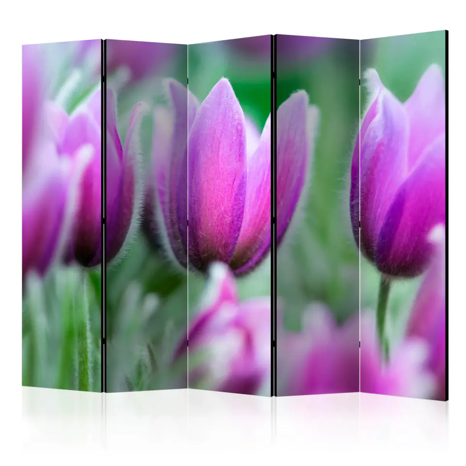 ⁨5-piece screen - Purple spring tulips II [Room Dividers] (size 225x172)⁩ at Wasserman.eu