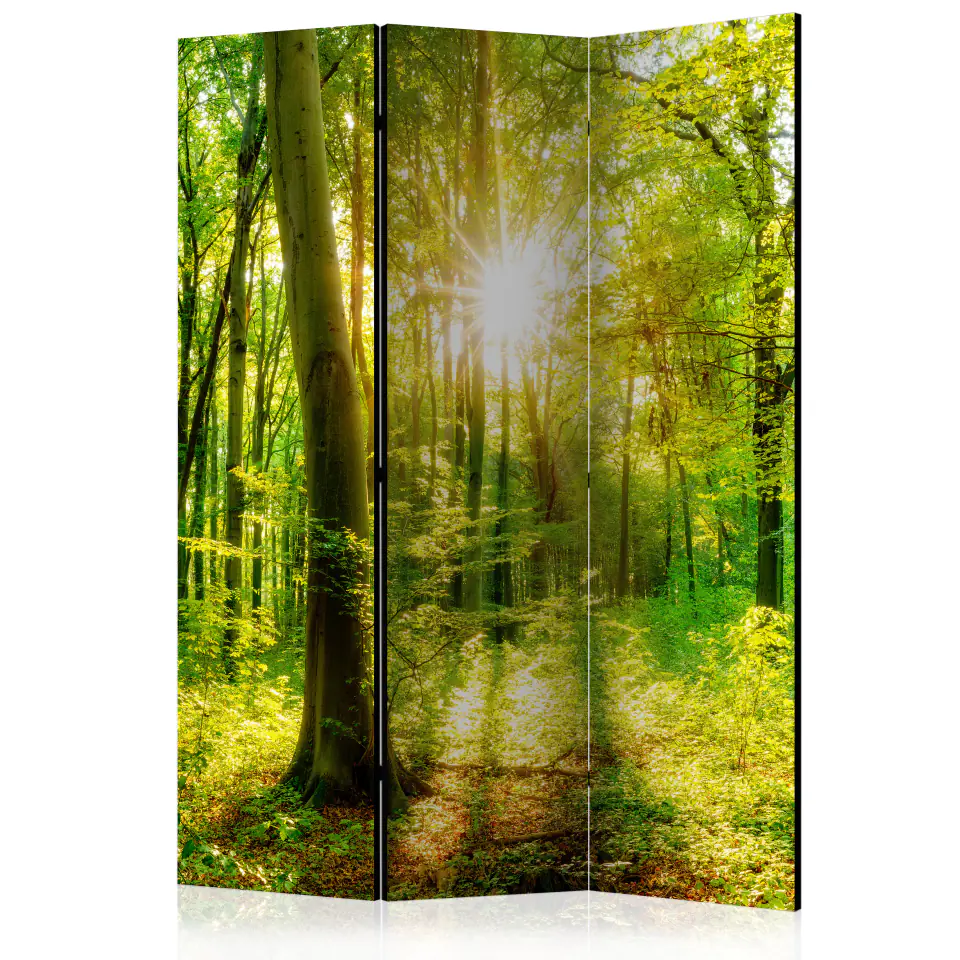 ⁨3-piece screen - Forest rays [Room Dividers] (size 135x172)⁩ at Wasserman.eu