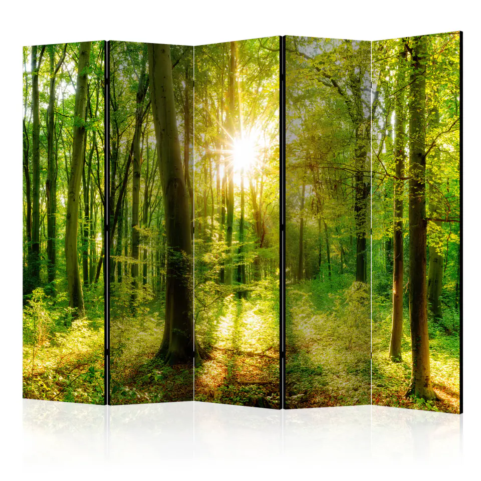 ⁨5-piece screen - Forest Rays II [Room Dividers] (size 225x172)⁩ at Wasserman.eu