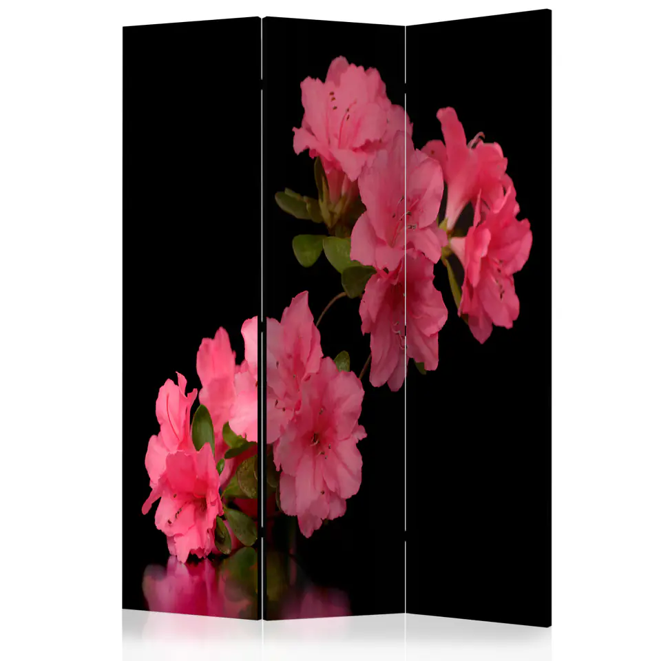 ⁨3-piece screen - Azalea in Black [Room Dividers] (size 135x172)⁩ at Wasserman.eu