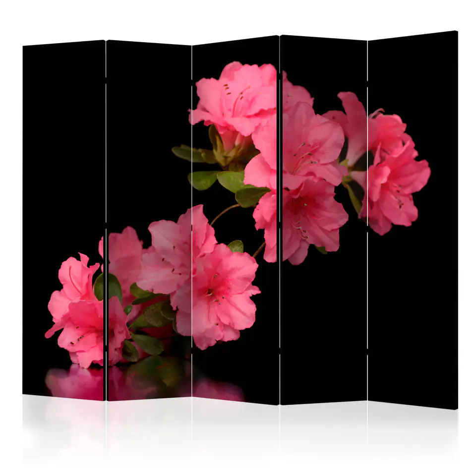 ⁨5-piece screen - Azalea in Black II [Room Dividers] (size 225x172)⁩ at Wasserman.eu