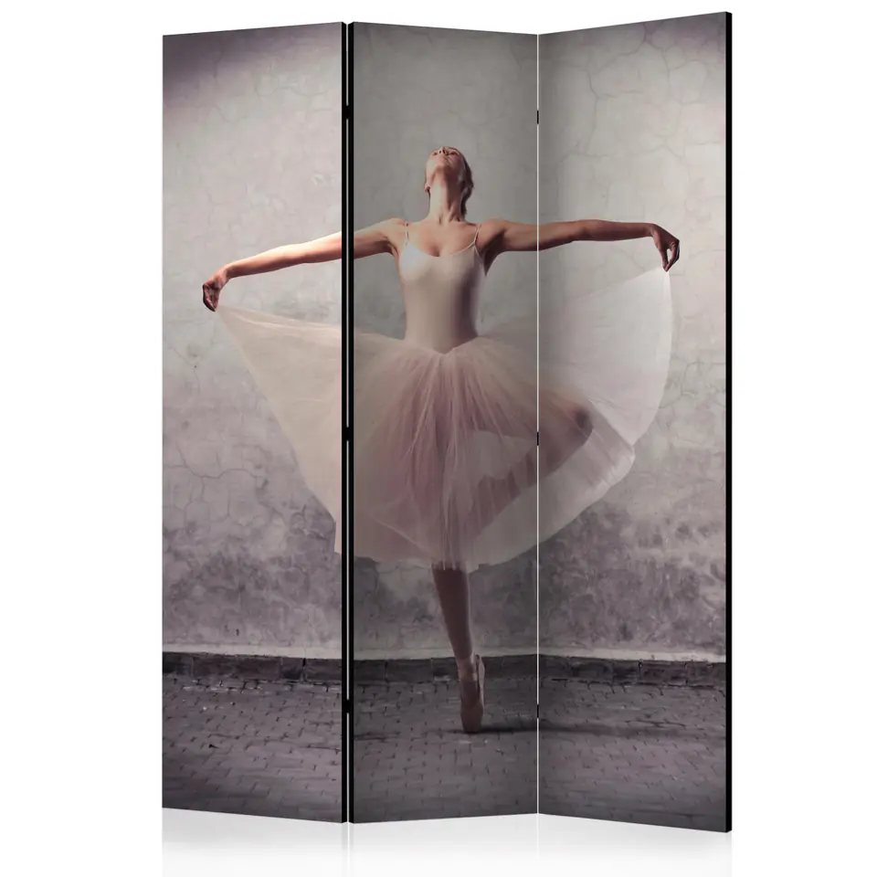 ⁨3-piece screen - Ballet - poetry without words [Room Dividers] (size 135x172)⁩ at Wasserman.eu
