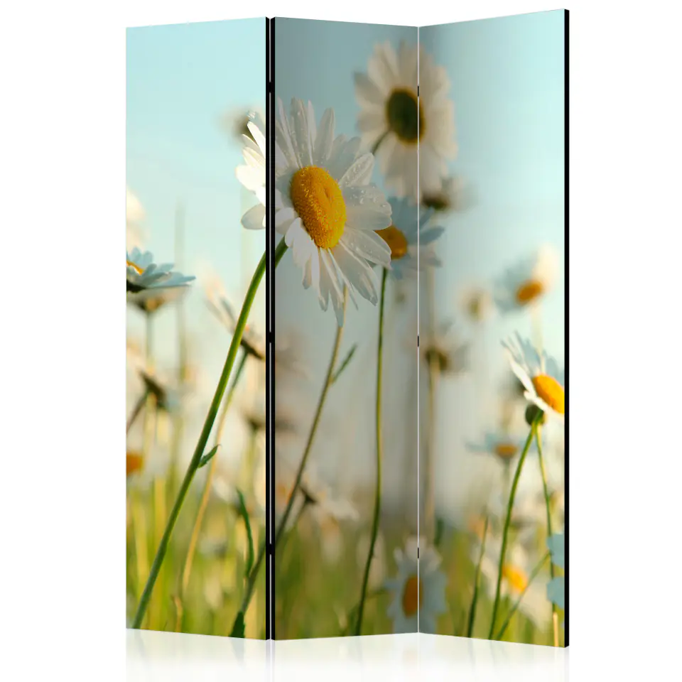 ⁨3-piece screen - Daisies - Spring Meadow [Room Dividers] (size 135x172)⁩ at Wasserman.eu