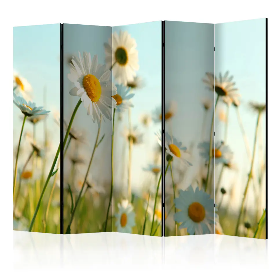 ⁨5-piece screen - Daisies - Spring Meadow II [Room Dividers] (size 225x172)⁩ at Wasserman.eu