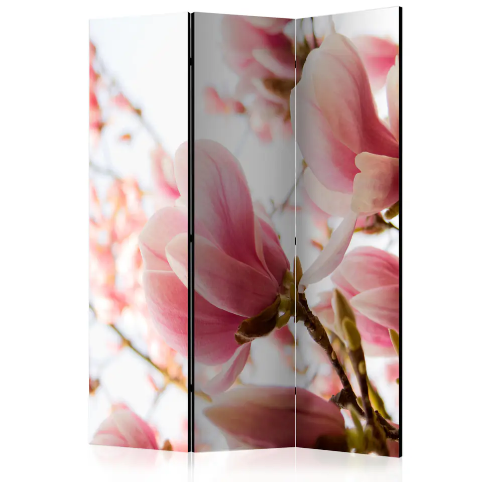 ⁨3-piece screen - Pink magnolia [Room Dividers] (size 135x172)⁩ at Wasserman.eu