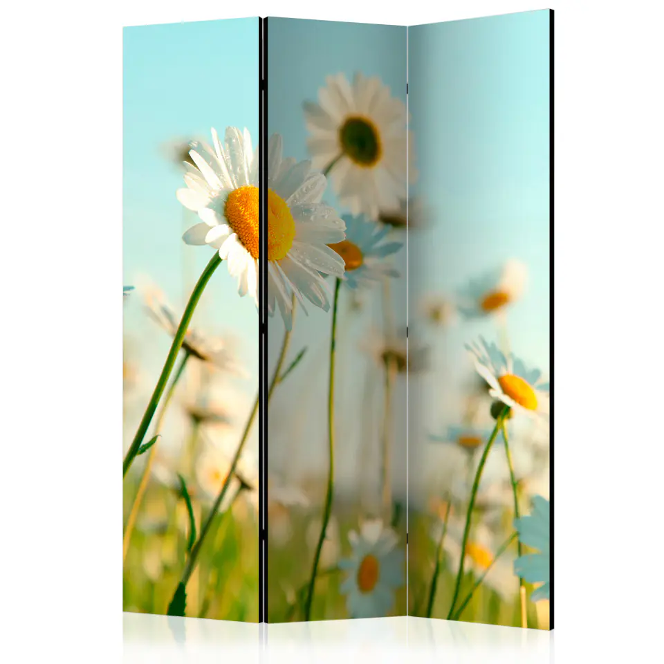 ⁨3-piece screen - Daisies - Spring Meadow [Room Dividers] (size 135x172)⁩ at Wasserman.eu