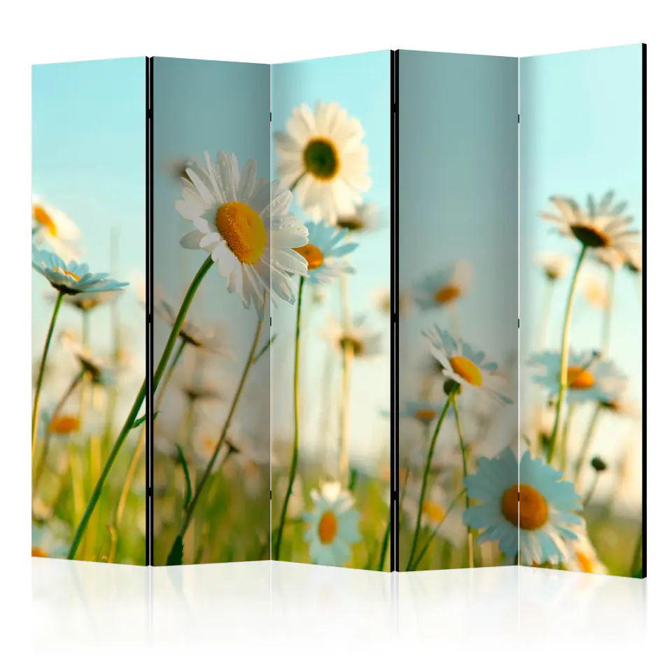 ⁨5-piece screen - Daisies - Spring Meadow II [Room Dividers] (size 225x172)⁩ at Wasserman.eu