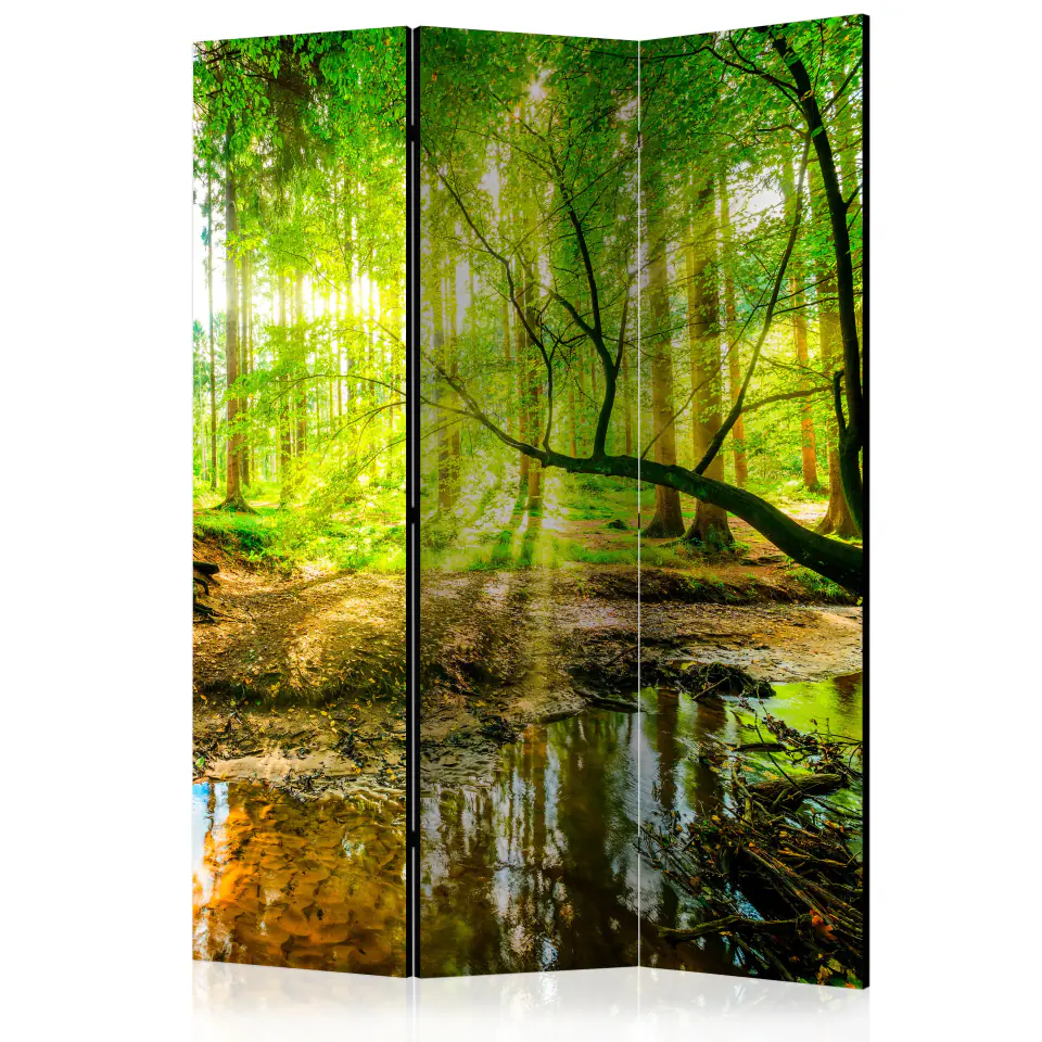 ⁨3-piece screen - Room Dividers (size 135x172)⁩ at Wasserman.eu