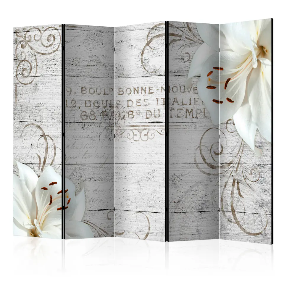 ⁨5-piece screen - Bonne Nouvelle II [Room Dividers] (size 225x172)⁩ at Wasserman.eu