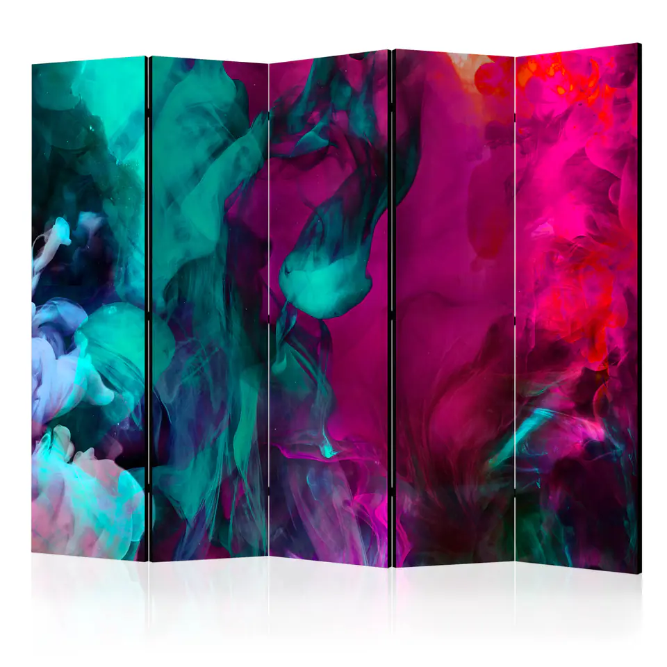 ⁨5-piece screen - Color Madness II [Room Dividers] (size 225x172)⁩ at Wasserman.eu