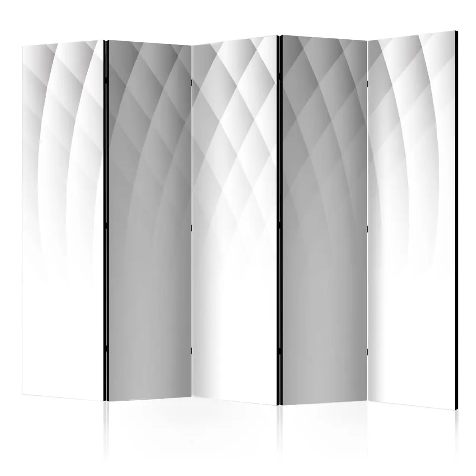 ⁨5-piece screen - Light structure II [Room Dividers] (size 225x172)⁩ at Wasserman.eu